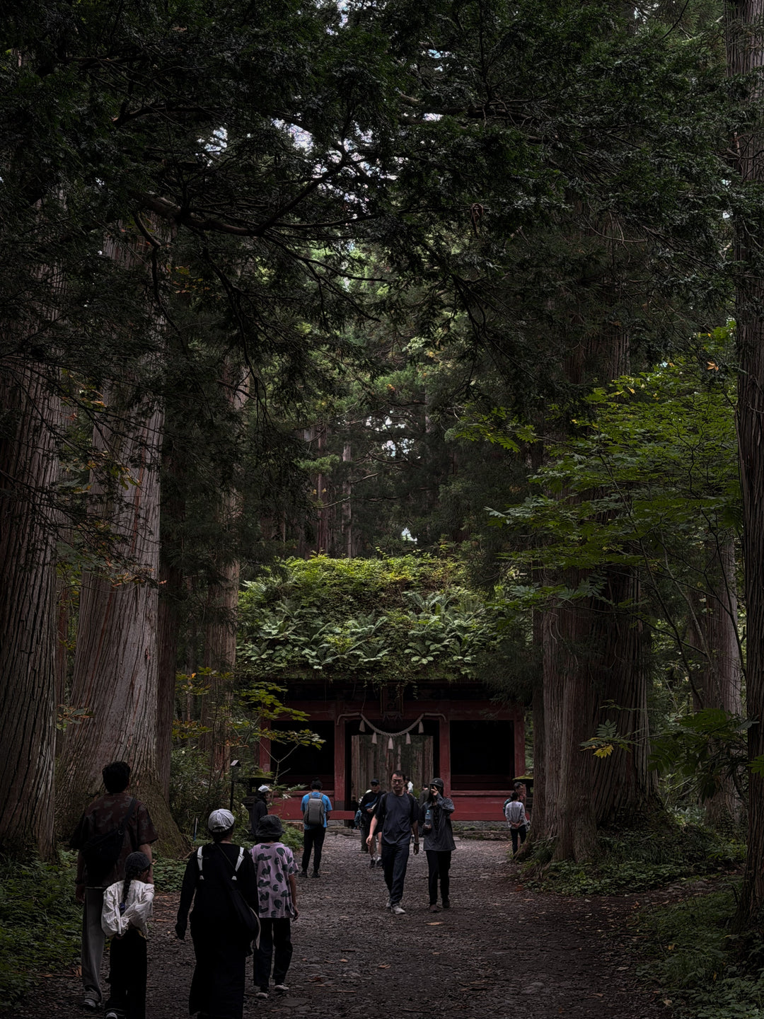 戸隠｜霧のキャンプと戸隠そば、山の中で過ごす旅